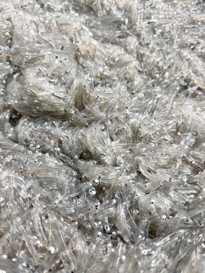 もんざ丸 前田水産直営店(神奈川県/鎌倉市)