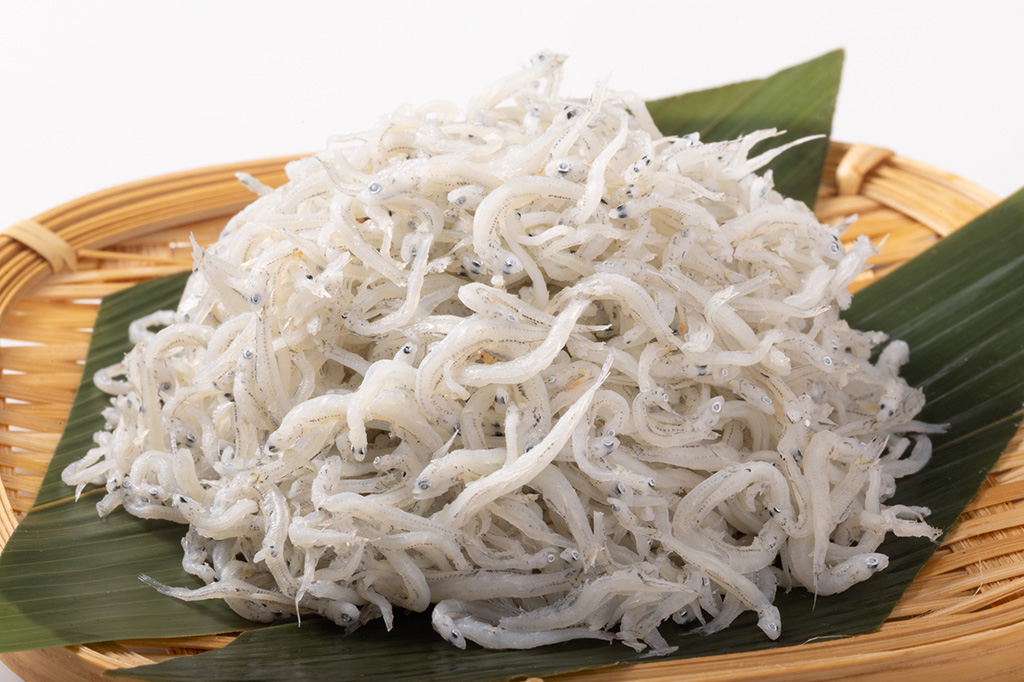 神奈川県の特産品「シラス」(イメージ)