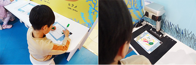 SDGs体験コーナー/ホテル三日月 龍宮亭(千葉県/木更津市)