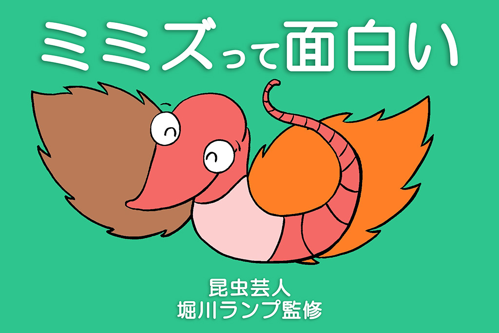 ミミズって面白い（昆虫芸人　堀川ランプ監修）