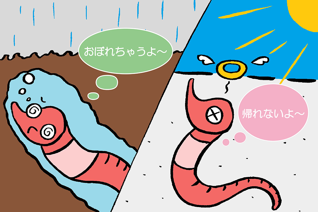 ミミズがアスファルトにでる理由（イラスト）