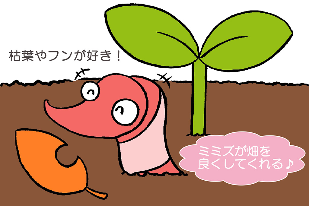 ミミズは枯葉やフンが好き