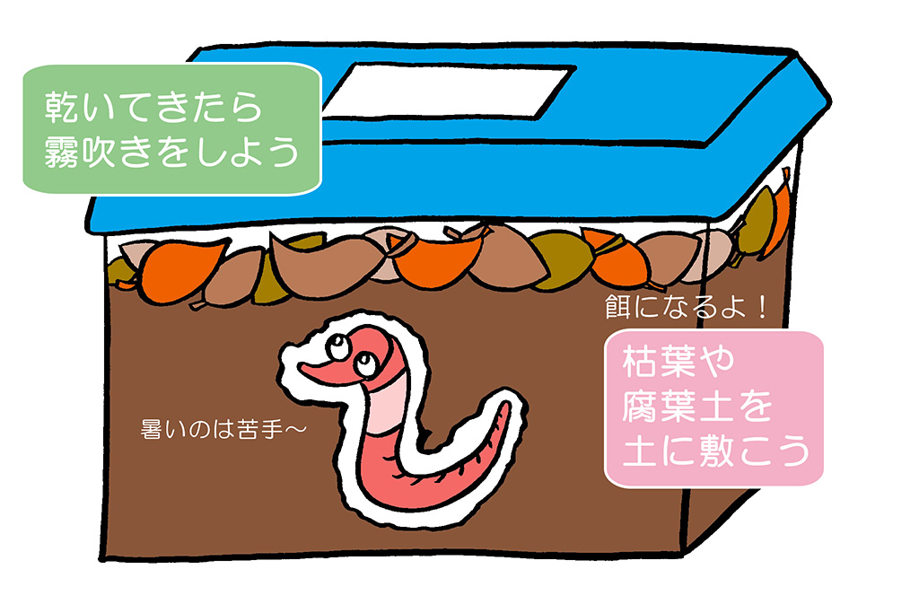 ミミズの飼い方（イラスト）