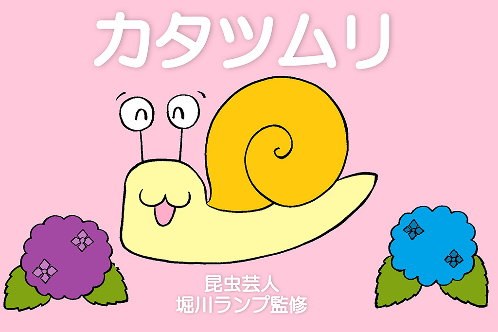 カタツムリ