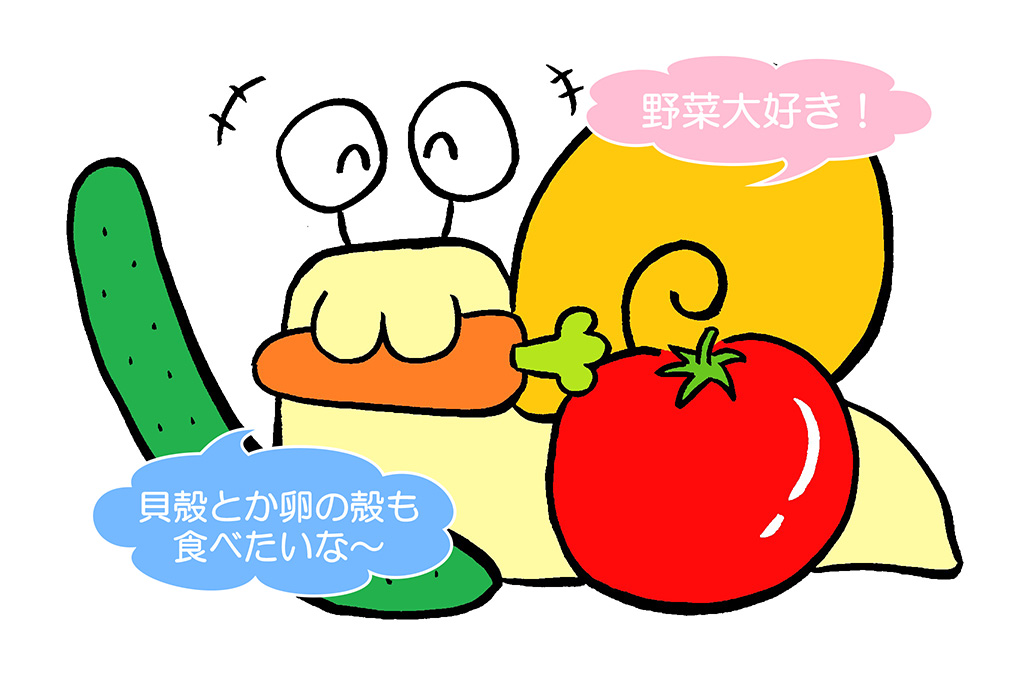野菜とカタツムリ