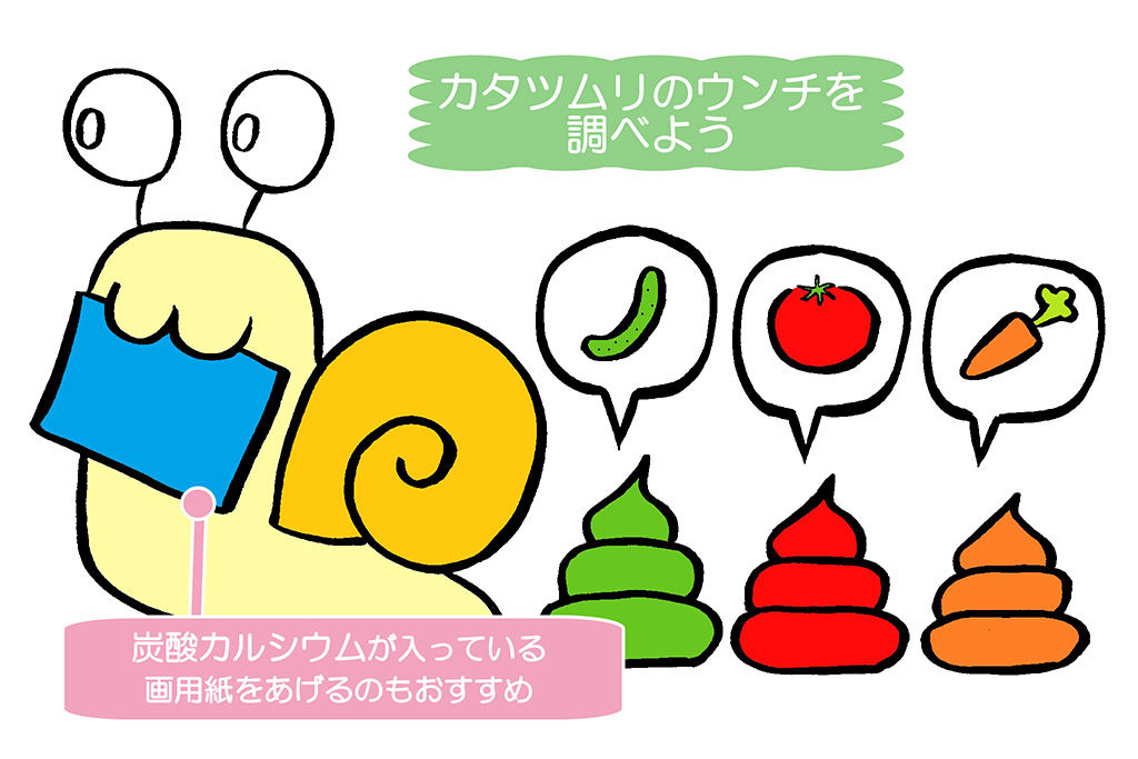 カタツムリのウンチ