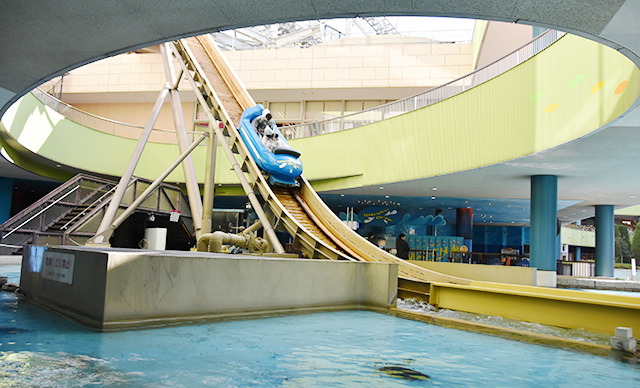 ワンダードロップ/東京ドームシティ（東京都/文京区）