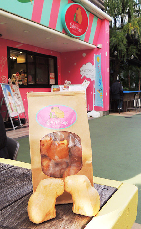 アニタッチ「CAPPY cafe」のカピバラ最中（手前）カピバラ人形焼き（奥）/東京ドームシティ（東京都/文京区）