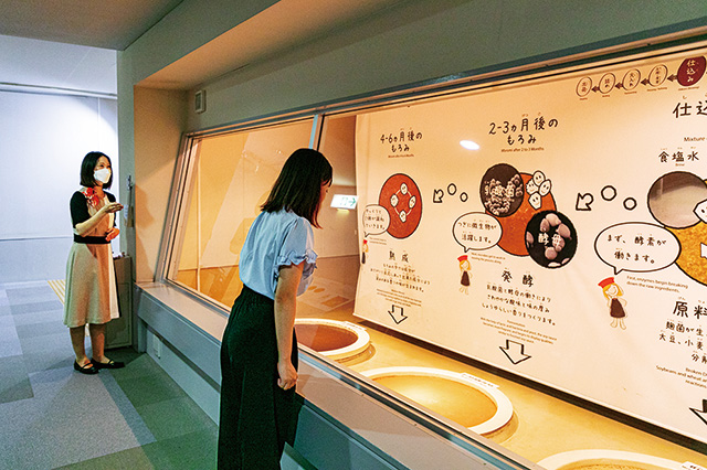 観察ゾーン/キッコーマンもの知りしょうゆ館(千葉県/野田市)