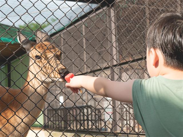河北町児童動物園（河北町）