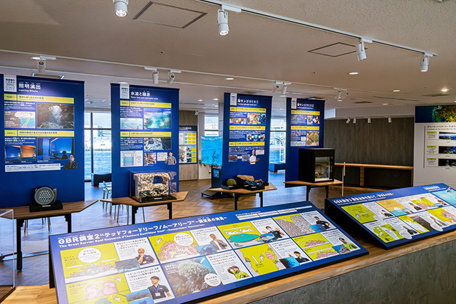 サンゴがテーマの企画展/海遊館(大阪府/大阪市)