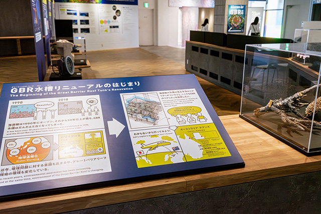 /海遊館(大阪府/大阪市)