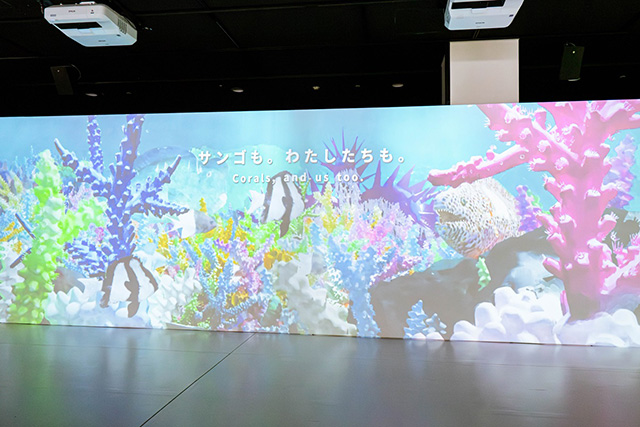 サンゴの一生を表現したアニメーション/海遊館(大阪府/大阪市)