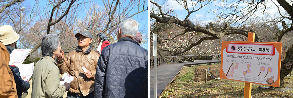 梅まつり「「渓流の梅園」を満喫！参加無料のガイドツアー」/小田原フラワーガーデン（神奈川県/小田原市）