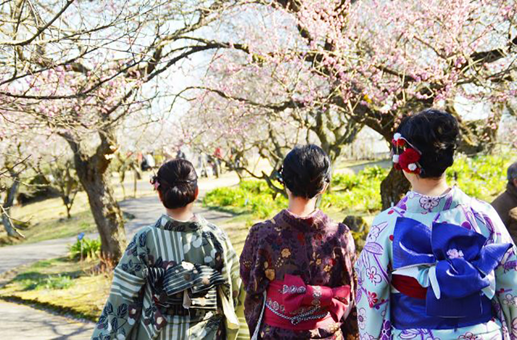 梅まつり/小田原フラワーガーデン（神奈川県/小田原市）