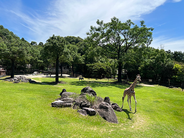 のいち動物公園（高知県/香南市）