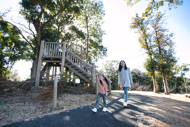 開放的なこんこん山広場/高知県立牧野植物園（高知市）