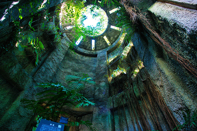 温室の入り口、みどりの塔/高知県立牧野植物園（高知市）