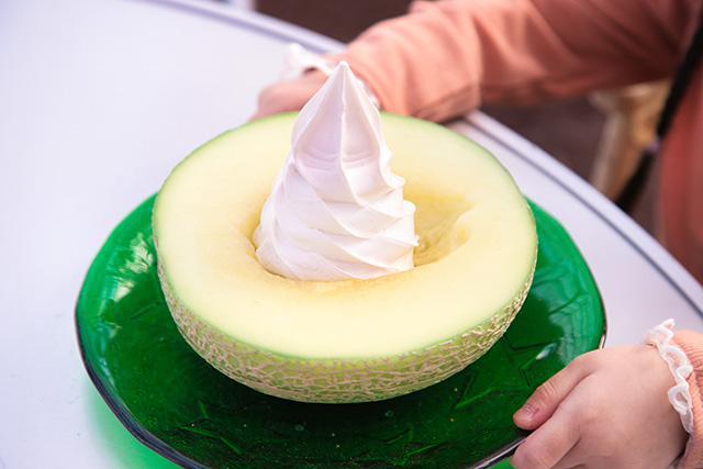 メロンのしっぽ/西島園芸団地（高知県/南国市）