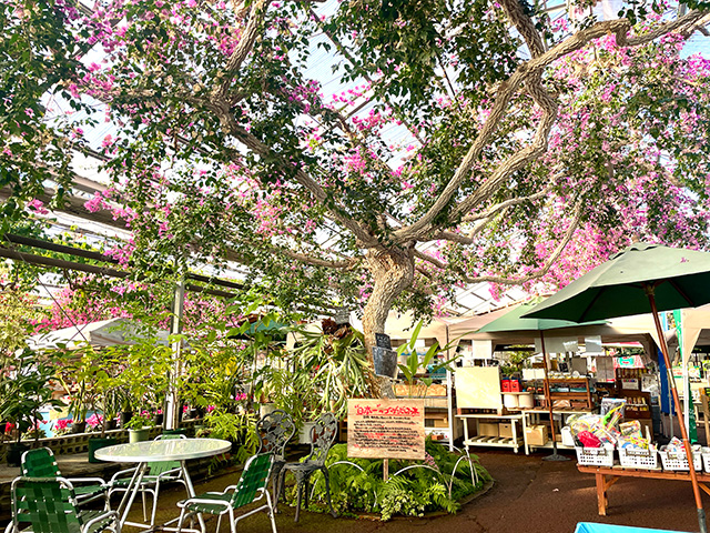 西島園芸団地（高知県/南国市）