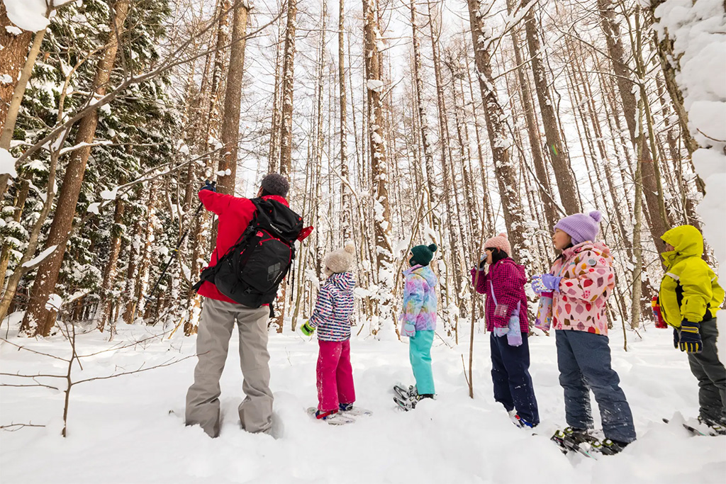 「かんじきフットパス」（青森県/十和田市）