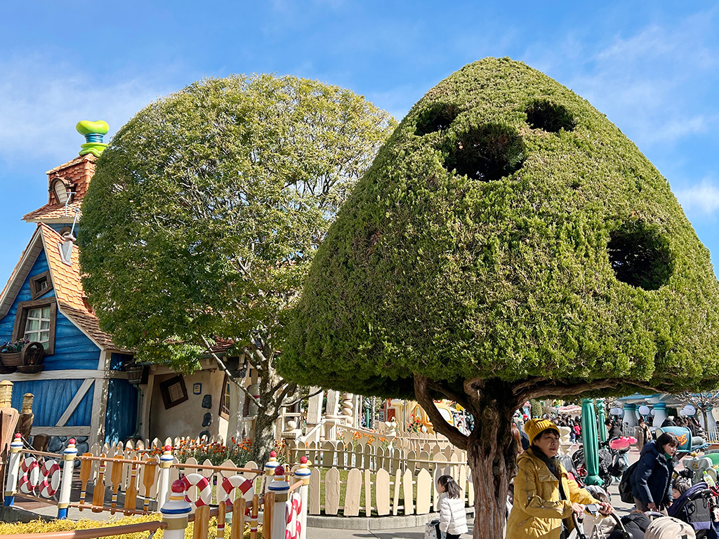グーフィーの家の近くにある丸く刈られた木/東京ディズニーランド（千葉県/舞浜市）