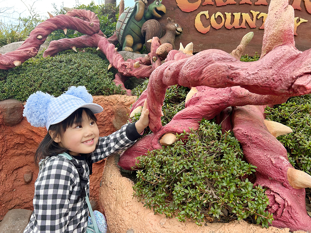 クリッターカントリー入口のいばら/東京ディズニーランド（千葉県/舞浜市）