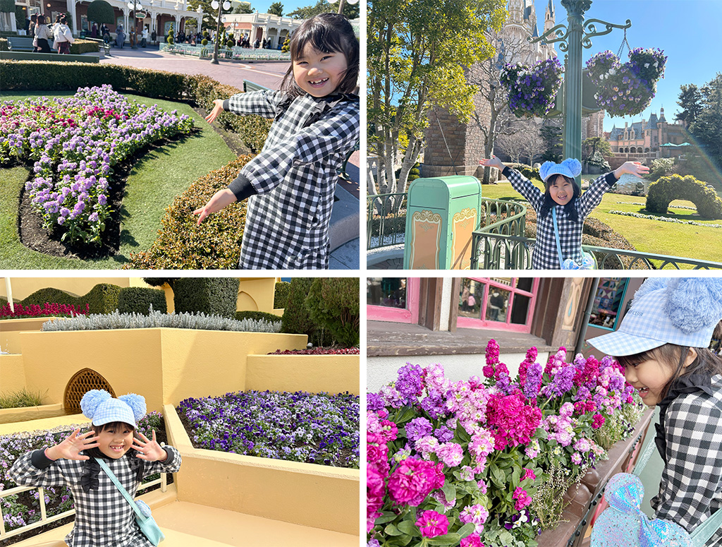 パーク内の花壇/東京ディズニーランド（千葉県/舞浜市）