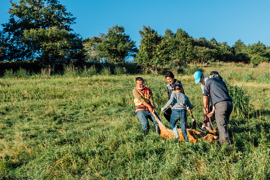 猟師さんと一緒に鹿猟同行体験(岩手県)