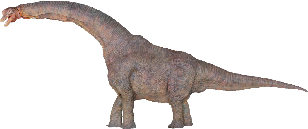 ブラキオサウルス/DINO-A-LIVE「DINO SAFARI 2025」(東京都/渋谷区)