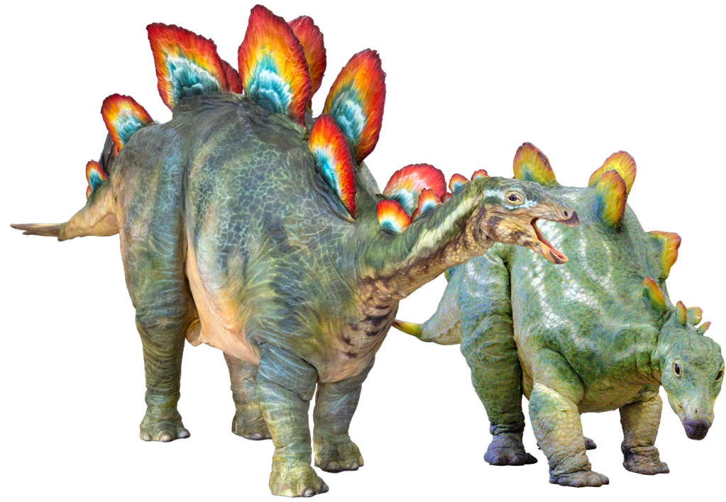 ステゴサウルス/DINO-A-LIVE「DINO SAFARI 2025」(東京都/渋谷区)