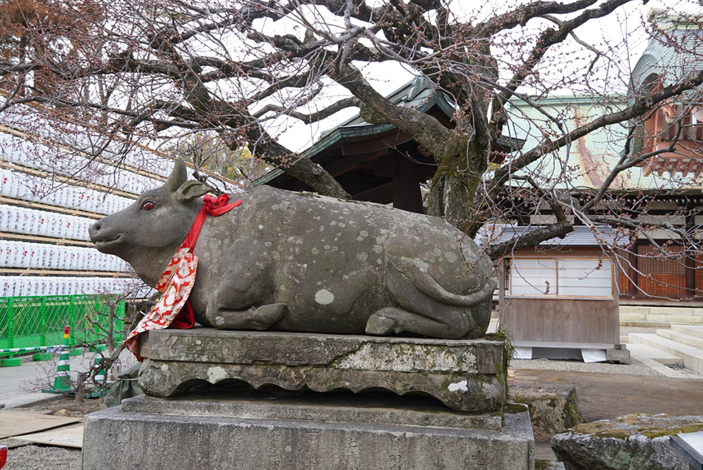 境内の牛の像（撫牛）/北野天満宮（京都府/京都市）