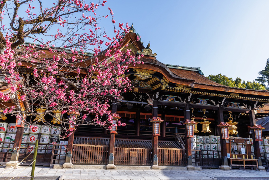 飛梅/北野天満宮（京都府/京都市）