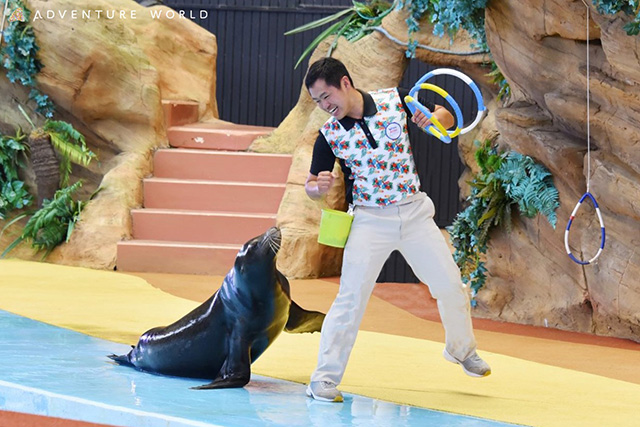 アニマルアクション/アドベンチャーワールド(和歌山県/白浜町)