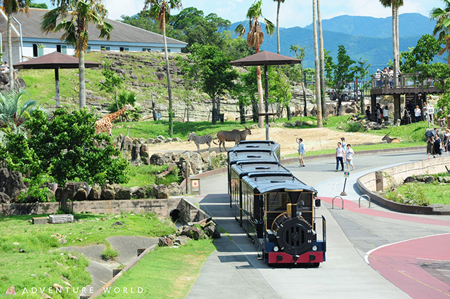 無料の「ケニア号」/アドベンチャーワールド(和歌山県/白浜町)