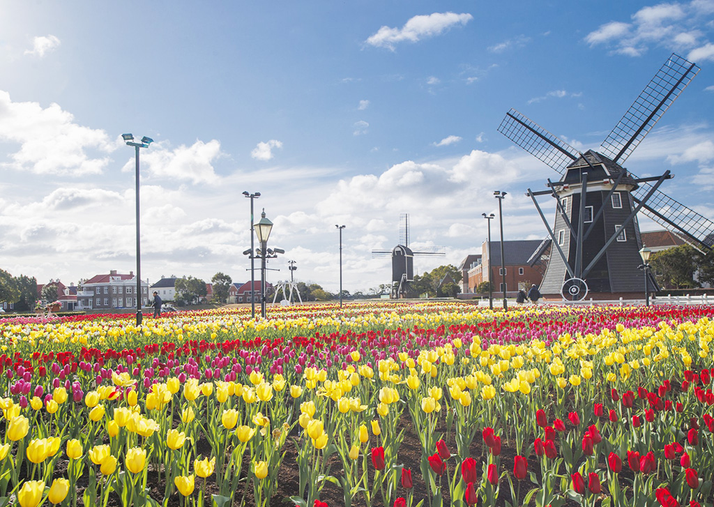「100万本のチューリップ祭」/ハウステンボスの春イベント（長崎県/佐世保市）