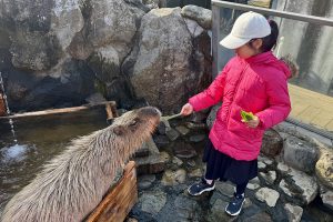 雨でもOK！関東の屋内動物園・動物ふれあいスポット11選（東京・神奈川・千葉ほか）