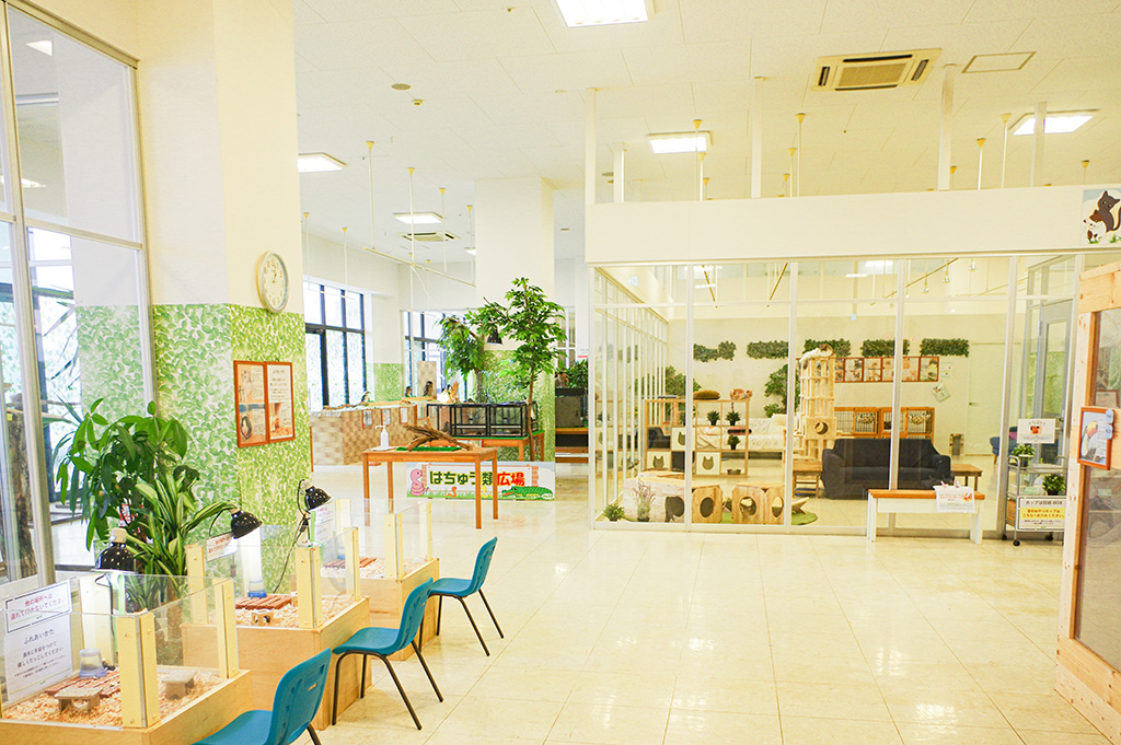 大型複合商業施設「BIGHOPガーデンモール印西」内にある/Moff animal world(千葉県/印西市)