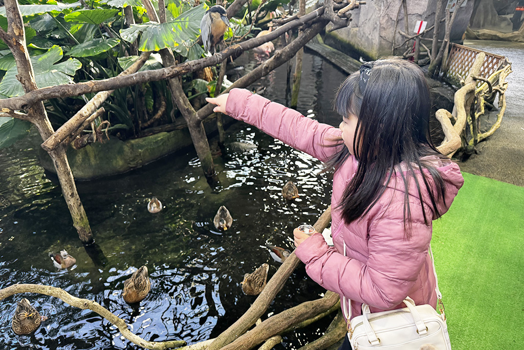 「WET LAND(ウェットランド)」では水鳥にエサやり体験も/那須どうぶつ王国(栃木県/那須町)