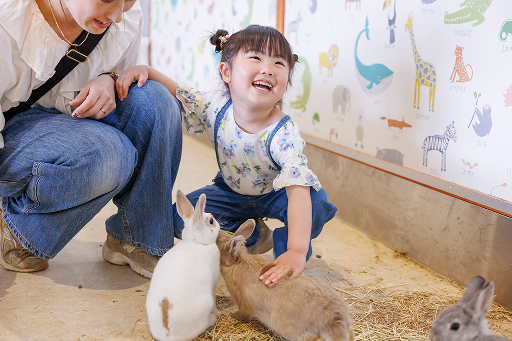 ウサギとのふれあいにご満悦/アニタッチPARK イオンモール太田(群馬県/太田市)