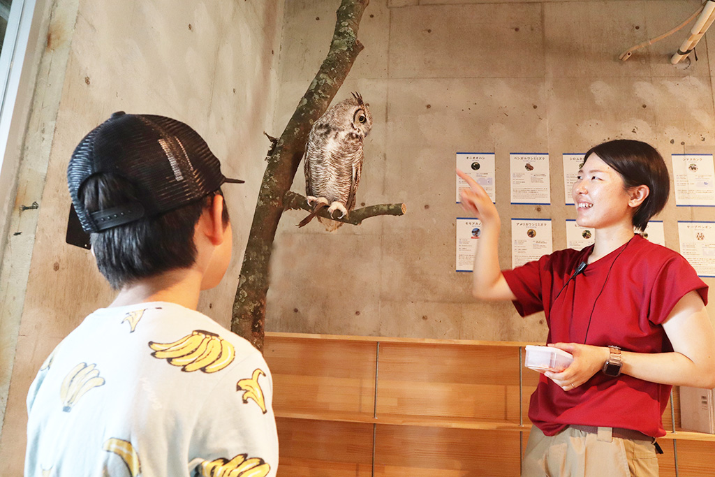 キュレーターの解説とともに園内をまわるガイドツアー/霞ケ浦 どうぶつとみんなのいえ(茨城県/行方市)