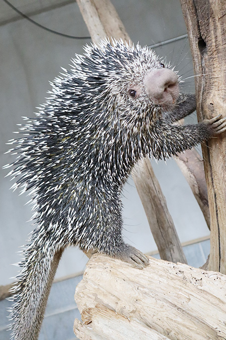 霞ケ浦 どうぶつとみんなのいえ(茨城県/行方市)