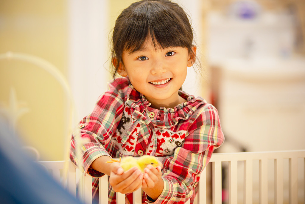 かわいいひよこを手の中に／アニタッチ MARK IS 静岡（静岡県／静岡市）