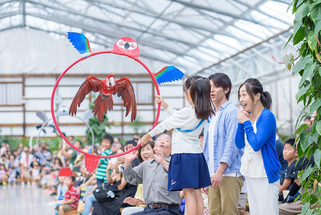 バードショーでのフラフープ/掛川花鳥園（静岡県／掛川市）