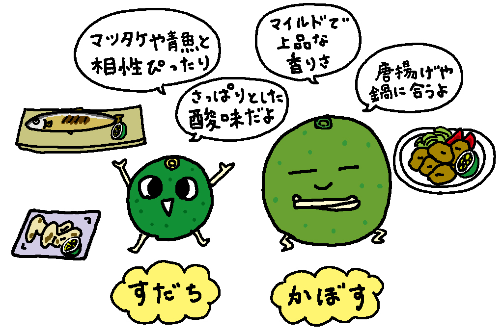 そっくりな「かぼす」とどう違うの？/徳島県の特産品「すだち」