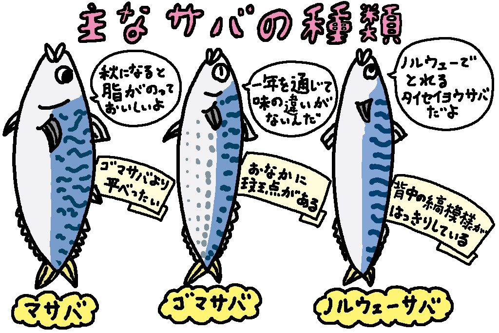 主なサバの種類/福井県の特産品「サバ」