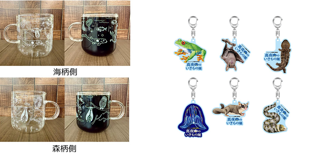 「真夜中のいきもの展」オリジナルグッズの耐熱グラスマグカップとキーホルダー/サンシャイン水族館(東京都/豊島区)