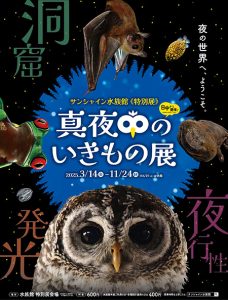 東京・サンシャイン水族館で「真夜中のいきもの展」開催　暗闇の中を探検するワクワク感が楽しめる特別展
