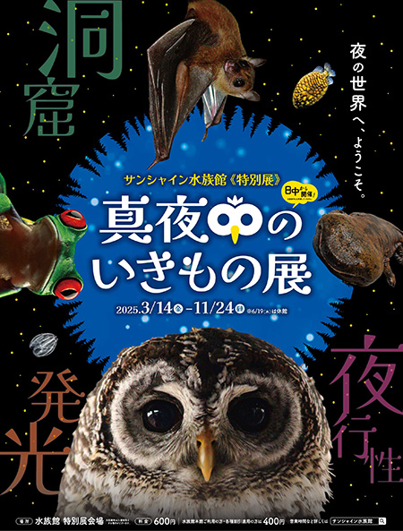 「真夜中のいきもの展」/サンシャイン水族館（東京都/豊島区）