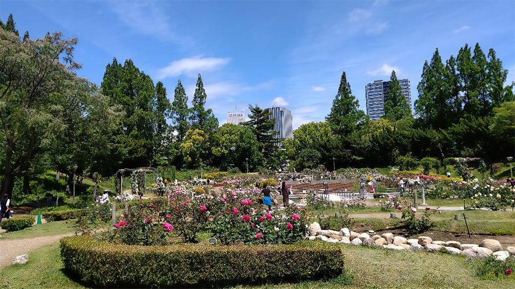 近隣の靭公園/大阪科学技術館（大阪府/大阪市）